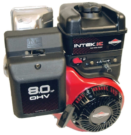 Briggs & Stratton 8 HP 202432-0036